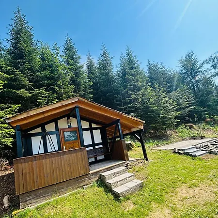 Naturparadies Im Sauerland Haus Tannenglueck Wenden (Sauerland)