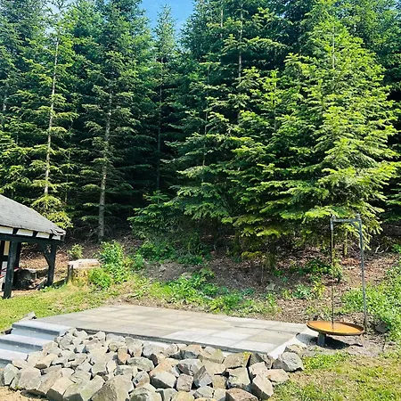 Naturparadies Im Sauerland Haus Tannenglueck * Wenden (Sauerland)