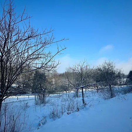 Naturparadies Im Sauerland Haus Tannenglueck *