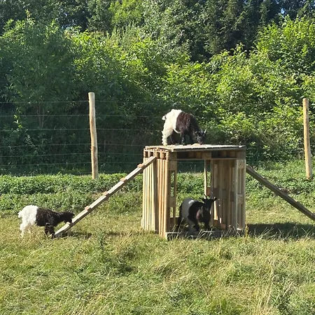 Dom wakacyjny Naturparadies Im Sauerland Haus Tannenglueck Wenden (Sauerland)